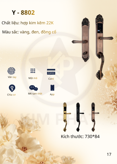 Khóa cửa cổ điển - Mã: Y- 8802