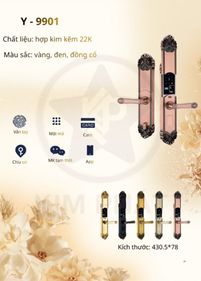Khóa cửa cổ điển - Mã: Y - 9901