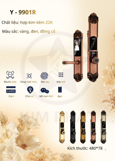 Khóa cửa cổ điển - Mã: Y- 9808