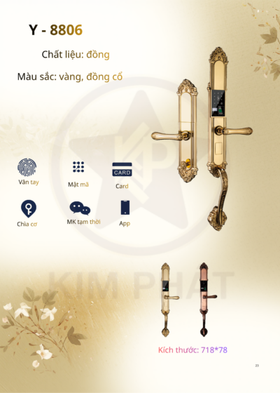 Khóa cửa cổ điển - Mã: Y-8806