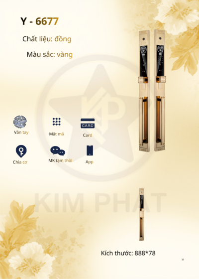 Khóa cửa cổ điển - Mã: Y-6677