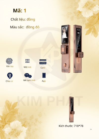 Khóa cửa cổ điển - Mã: 1