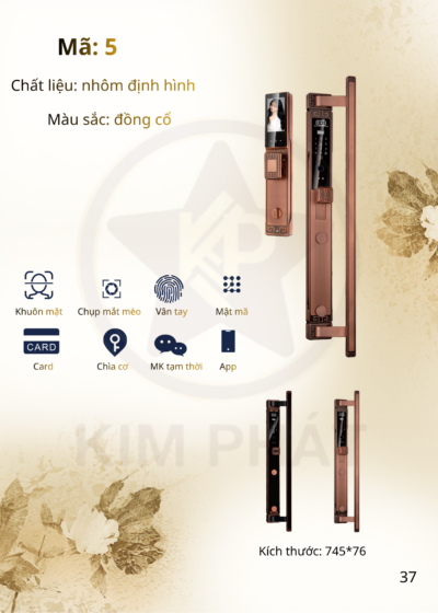 Khóa cửa cổ điển - Mã: 5