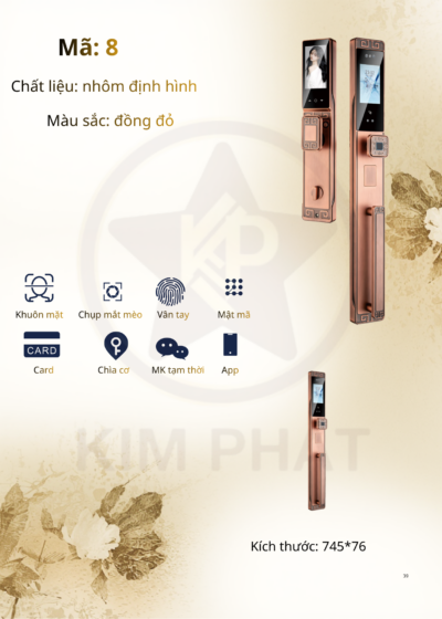 Khóa cửa cổ điển - Mã: 8