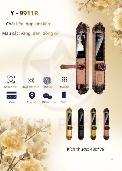 Khóa cửa cổ điển - Mã: Y-9911R