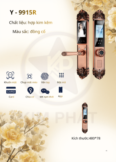 Khóa cửa cổ điển - Mã: Y-9915R