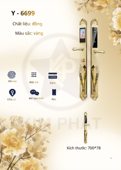 Khóa cửa cổ điển - Mã: Y-6699