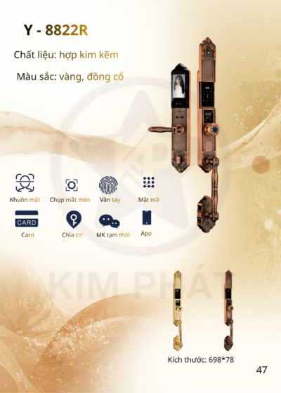 Khóa cửa cổ điển - Mã: Y-8822R