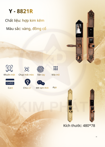 Khóa cửa cổ điển - Mã: Y-8821R