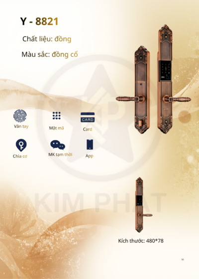 Khóa cửa cổ điển - Mã: Y-8821