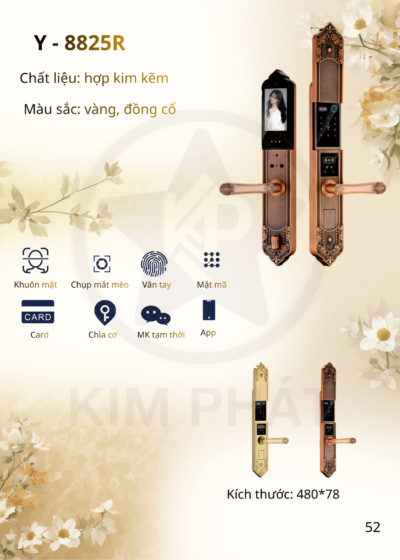 Khóa cửa cổ điển - Mã: Y-8825R