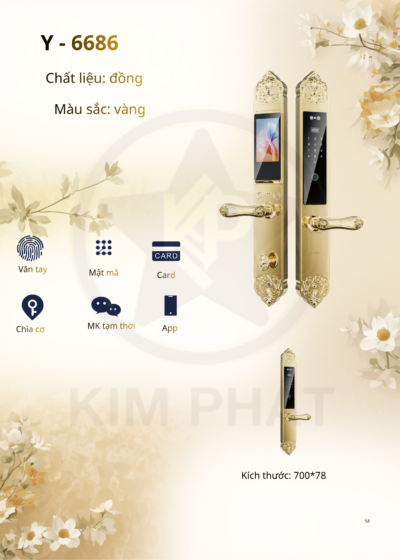 Khóa cửa cổ điển - Mã: Y-6686