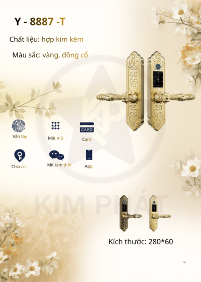 Khóa cửa cổ điển - Mã: Y-8887-T