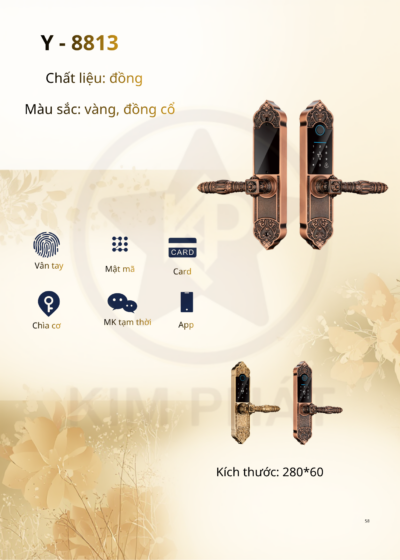 Khóa cửa cổ điển - Mã: Y-8813