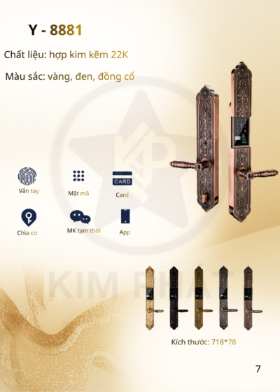Khóa cửa cổ điển - Mã: Y- 8881