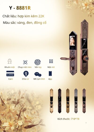 Khóa cửa cổ điển - Mã: Y-8881R
